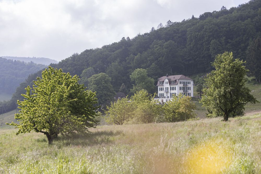 Hotel Erica
