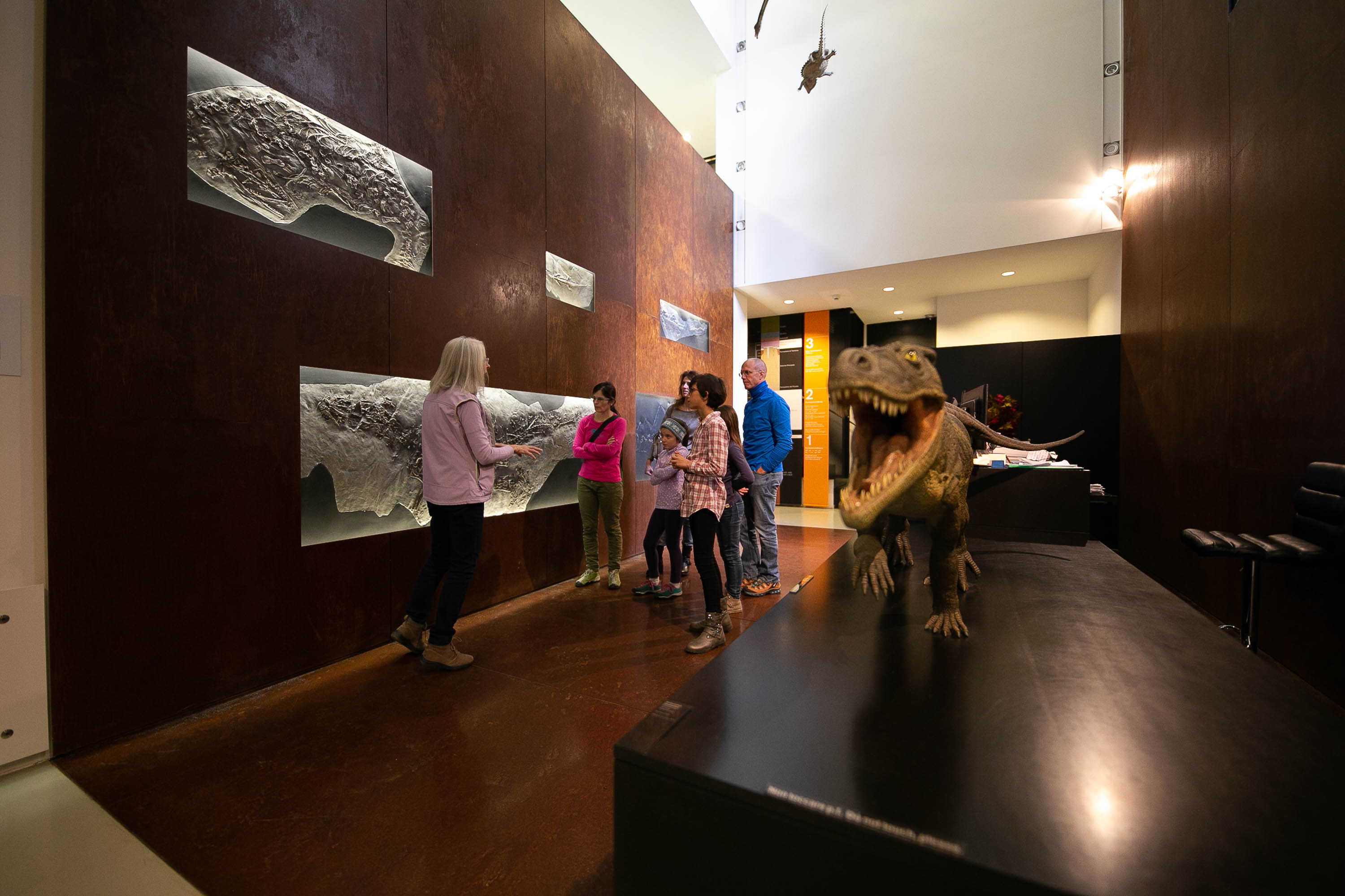 Visita guidata nel Museo dei fossili del Monte San Giorgio