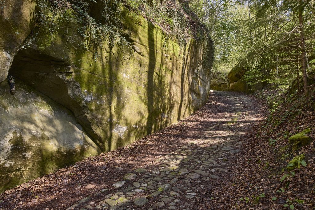 Chemin Saint-Jacques-de-Compostelle en Singine