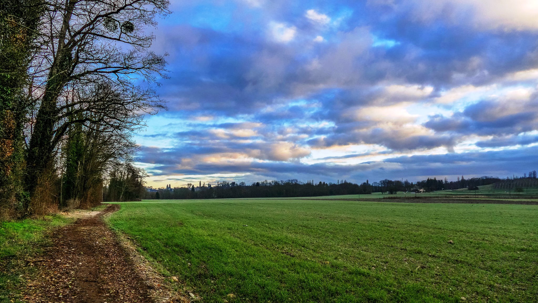 Vue de la campagne genevoise à Chancy