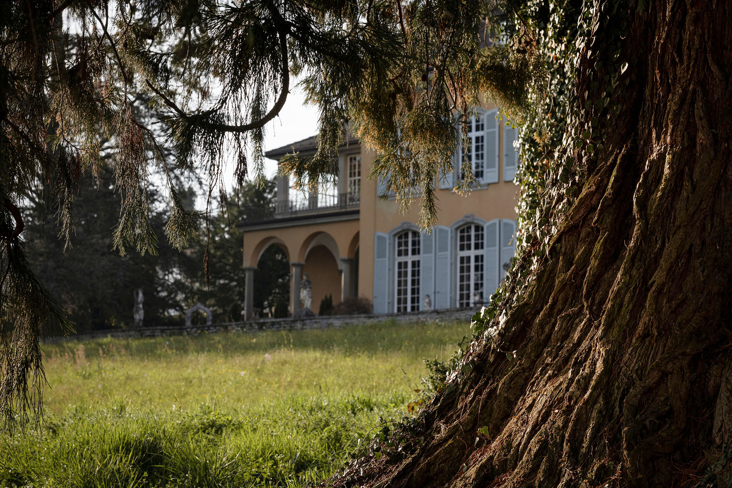 Baumbestand Villa St. Charles Hall