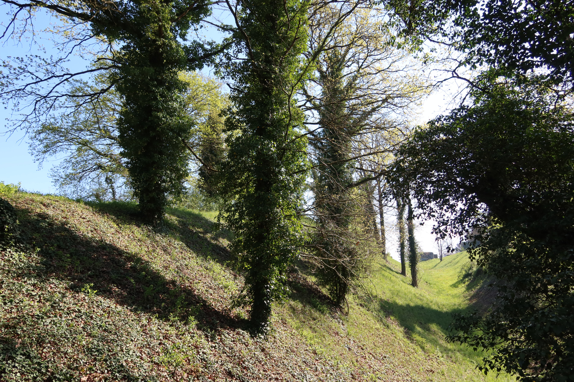 Stadtgraben bei Rheinau