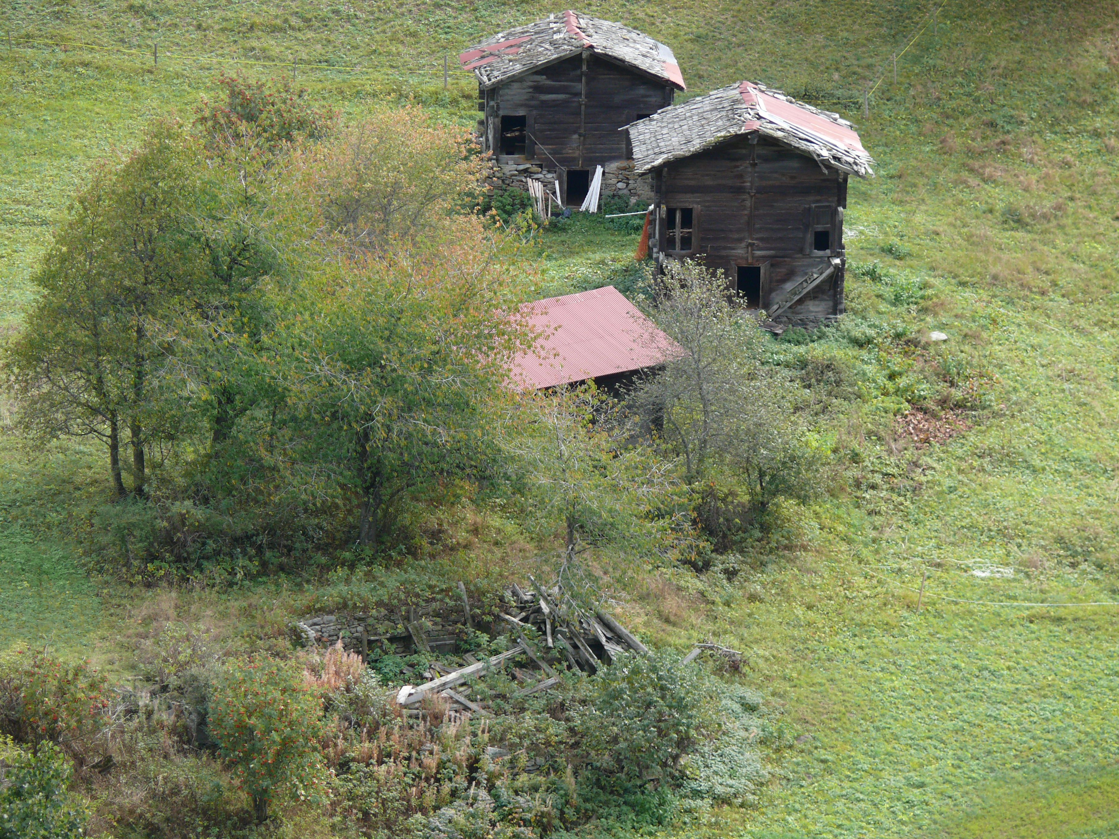 Stallscheunen Richulsmatt