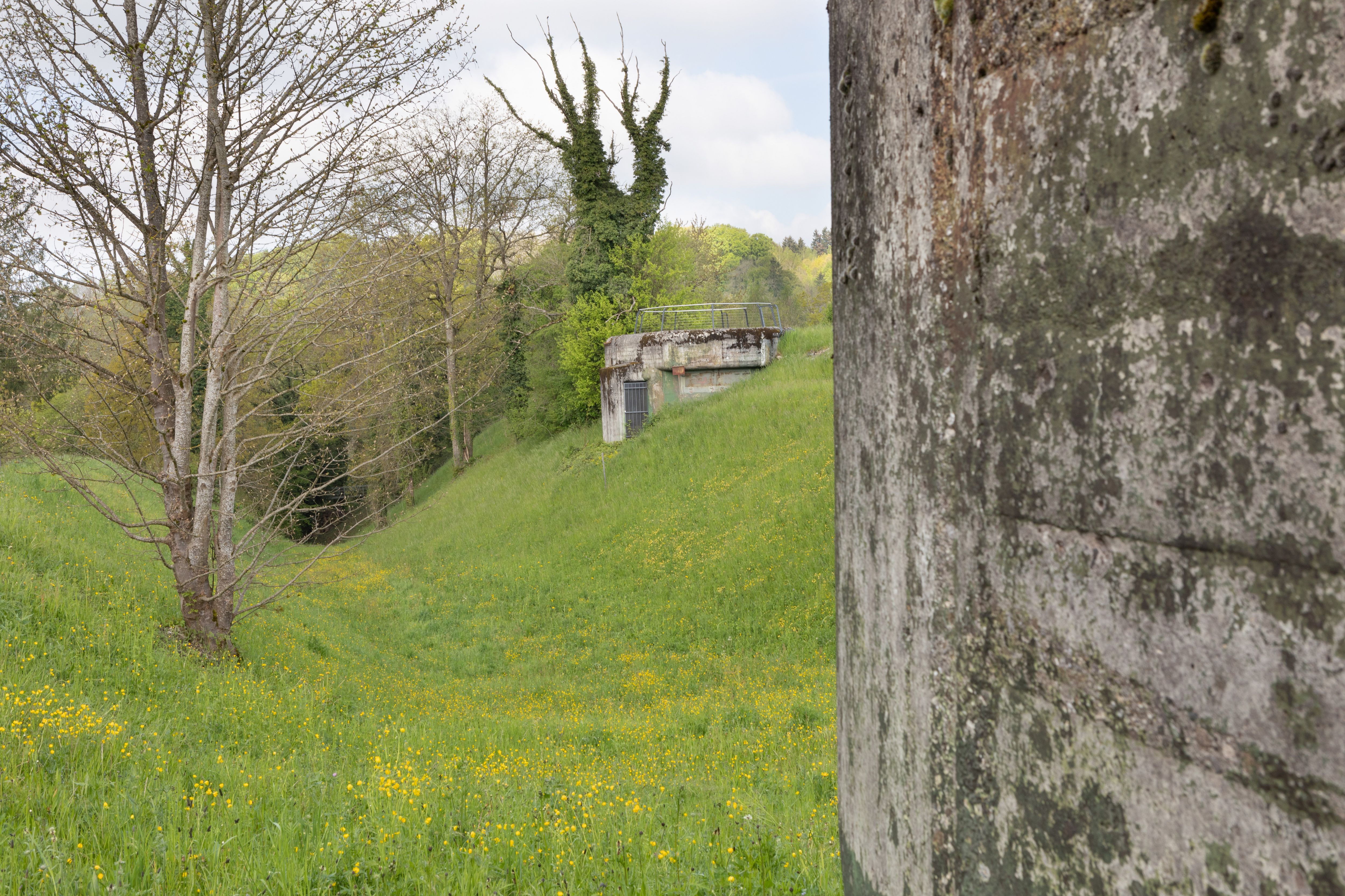 Wallanlage Rheinau